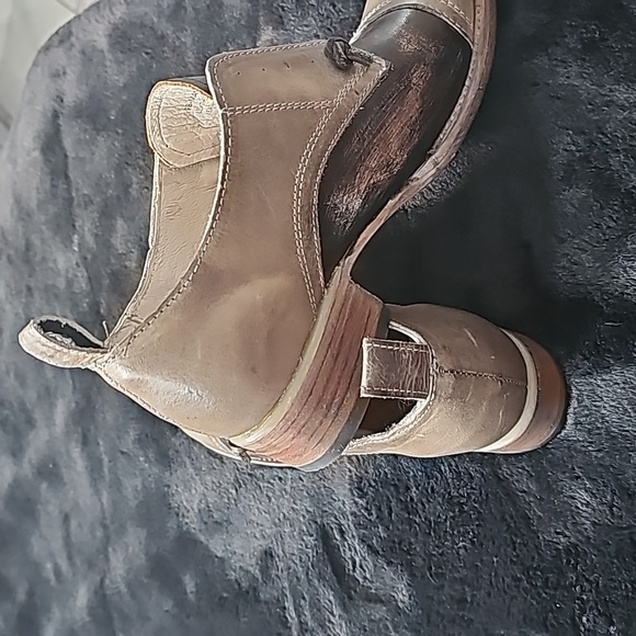 Freebird Mabel - Picture 4 of 8